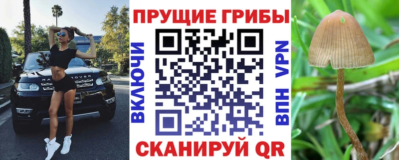 Галлюциногенные грибы Cubensis  Купить где  Алупка 